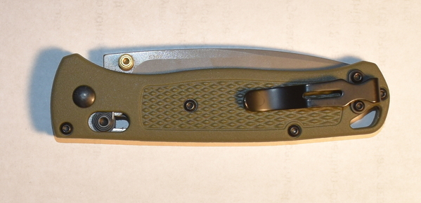 bug1.JPG